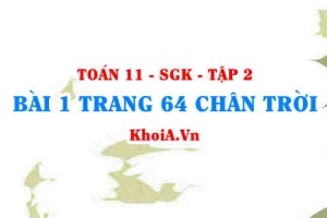 Bài 1 trang 64 Toán 11 Tập 2 Chân trời sáng tạo